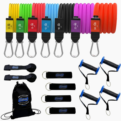 Bodylastics Patented Basic Series Resistance Band Set - Resistance Bands with Snap Reduction Tech, 2 Handles, 2 Ankle Straps, 1 Door Anchor & 1 Carry Bag