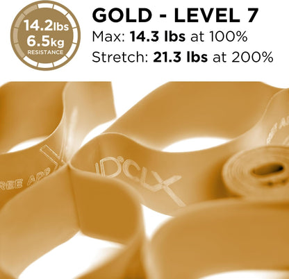 THERABAND CLX Resistance Band with Loops, 5 Feet, Silver, Super Heavy, Non-Latex, Elastic Band for Exercise, Mobility & Rehab, Stretching, Home Workouts, Color-Coded for Easy Resistance Levels