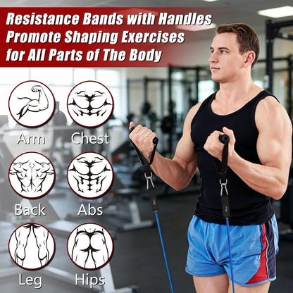 Resistance Bands with Handles, 5-Level Exercise Bands with Handles