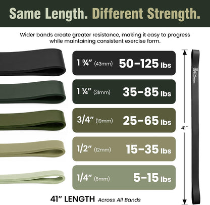 Gym Salvation 41-inch Loop Resistance Bands Set, 5 Pull Up Assist Bands for Strength Training & Working Out, Long Exercise Bands for Powerlifting, Mobility & Home Gym with Carry Bag