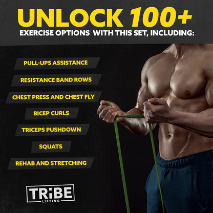 Long Resistance Bands Set, 5 Pull Up Assistance Bands for Working Out